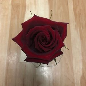 Meet your Posher, Hilda